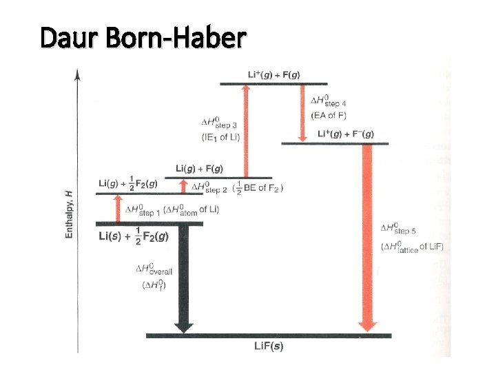 Daur Born-Haber 