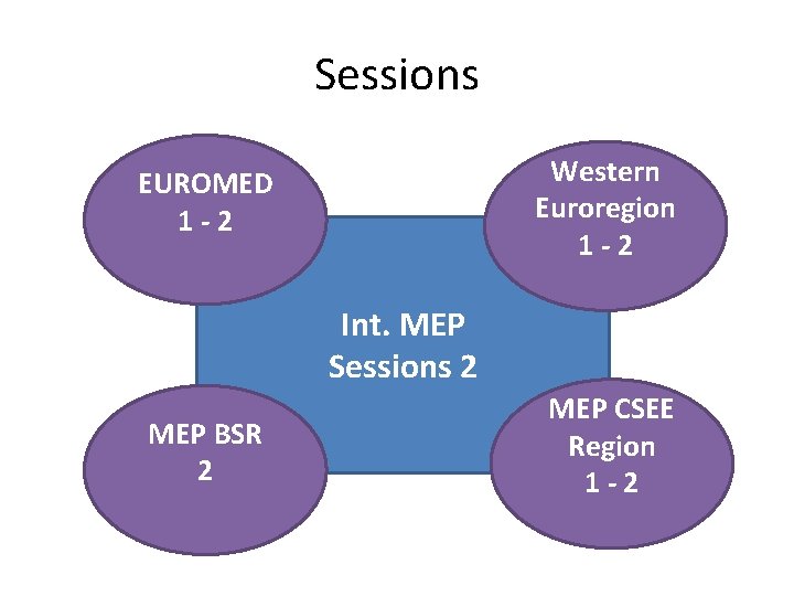 Sessions Western Euroregion 1 -2 EUROMED 1 -2 Int. MEP Sessions 2 MEP BSR