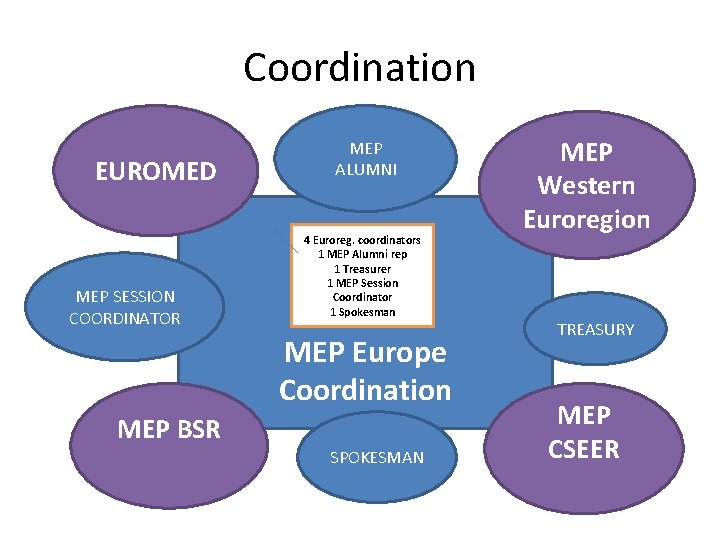 Coordination EUROMED MEP SESSION COORDINATOR MEP ALUMNI 4 Euroreg. coordinators 1 MEP Alumni rep