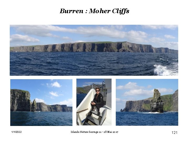 Burren : Moher Cliffs 1/1/2022 Irlande Nature Sauvage 21 - 28 Mai 2017 121