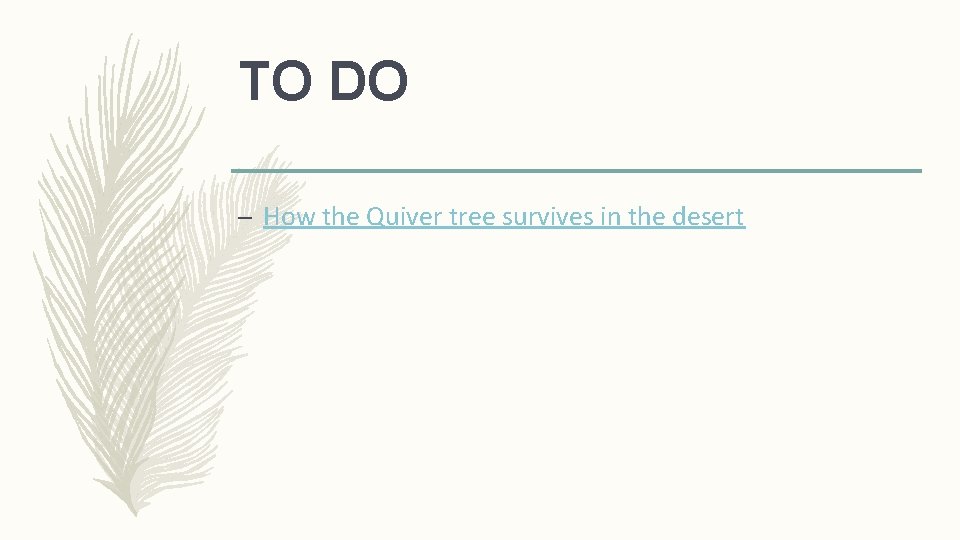 TO DO – How the Quiver tree survives in the desert 