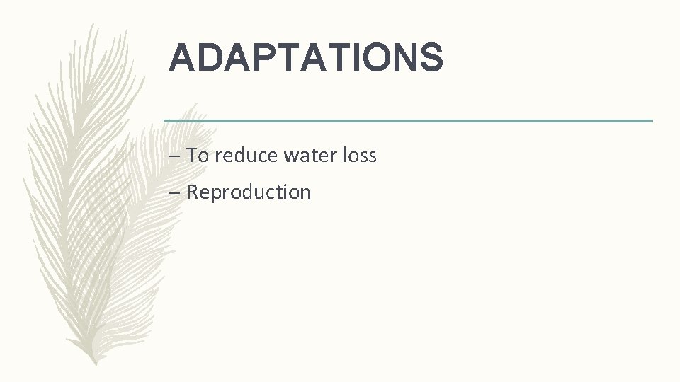 ADAPTATIONS – To reduce water loss – Reproduction 