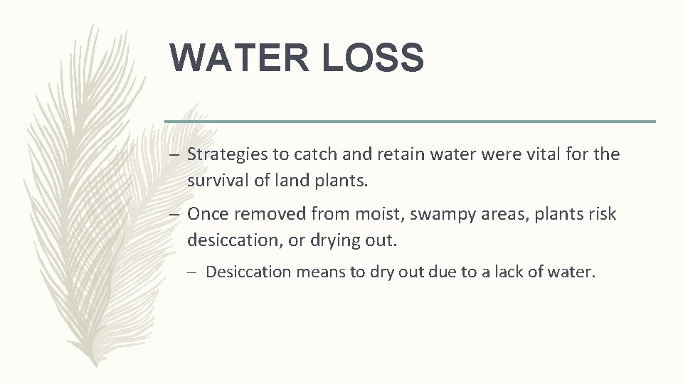 WATER LOSS – Strategies to catch and retain water were vital for the survival