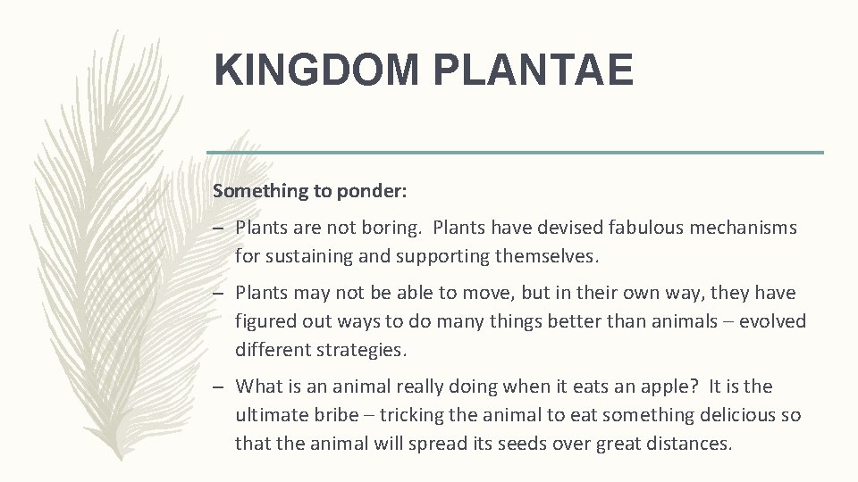 KINGDOM PLANTAE Something to ponder: – Plants are not boring. Plants have devised fabulous