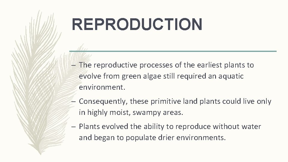 REPRODUCTION – The reproductive processes of the earliest plants to evolve from green algae