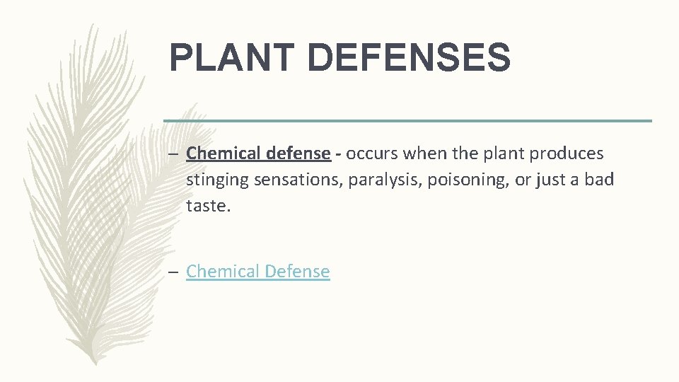 PLANT DEFENSES – Chemical defense - occurs when the plant produces stinging sensations, paralysis,