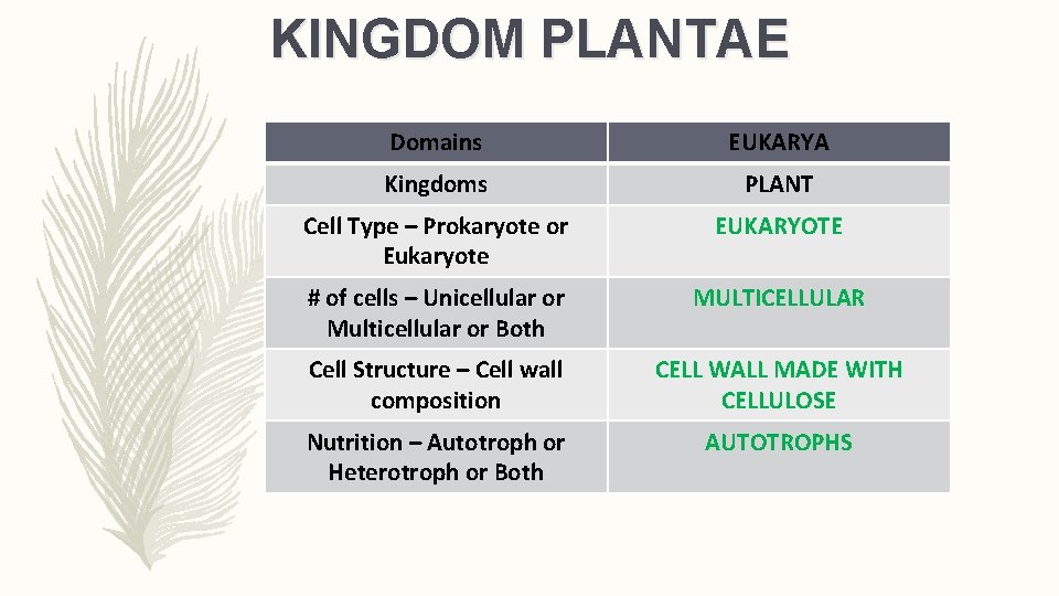KINGDOM PLANTAE 4 Domains EUKARYA Kingdoms PLANT Cell Type – Prokaryote or Eukaryote EUKARYOTE