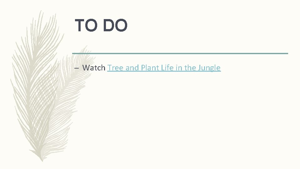 TO DO – Watch Tree and Plant Life in the Jungle 