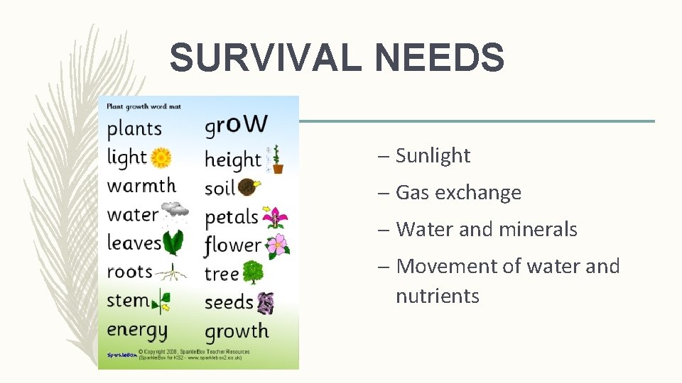 SURVIVAL NEEDS – Sunlight – Gas exchange – Water and minerals – Movement of