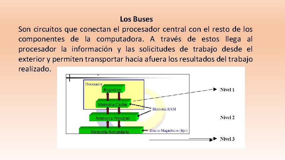 Los Buses Son circuitos que conectan el procesador central con el resto de los