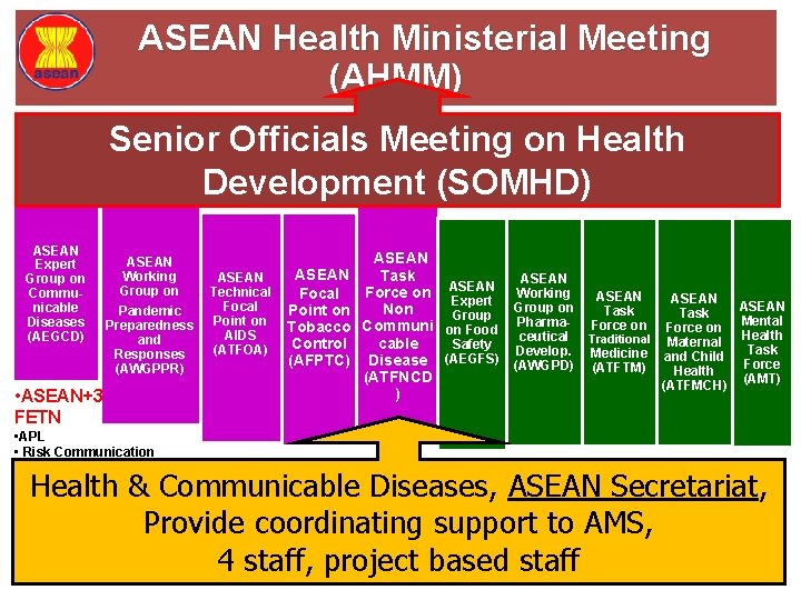 ASEAN Health Ministerial Meeting (AHMM) Senior Officials Meeting on Health Development (SOMHD) ASEAN Expert