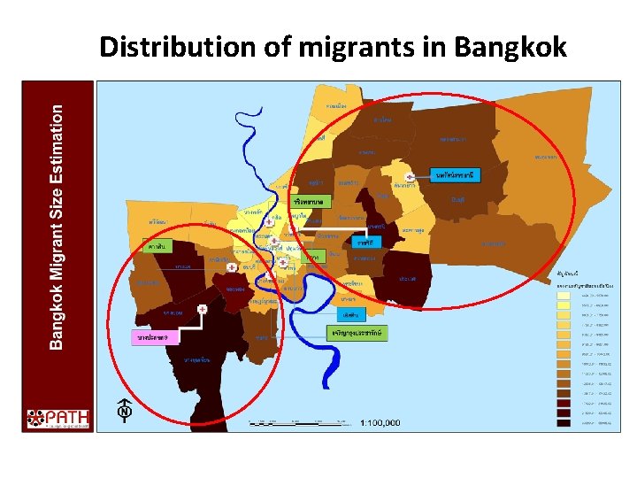 Distribution of migrants in Bangkok 