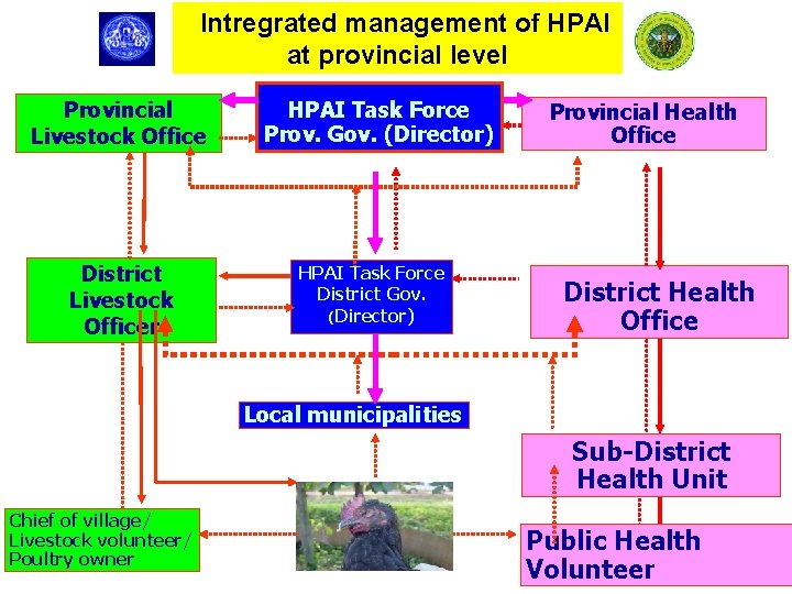 Intregrated management of HPAI at provincial level Provincial Livestock Office District Livestock Officer HPAI