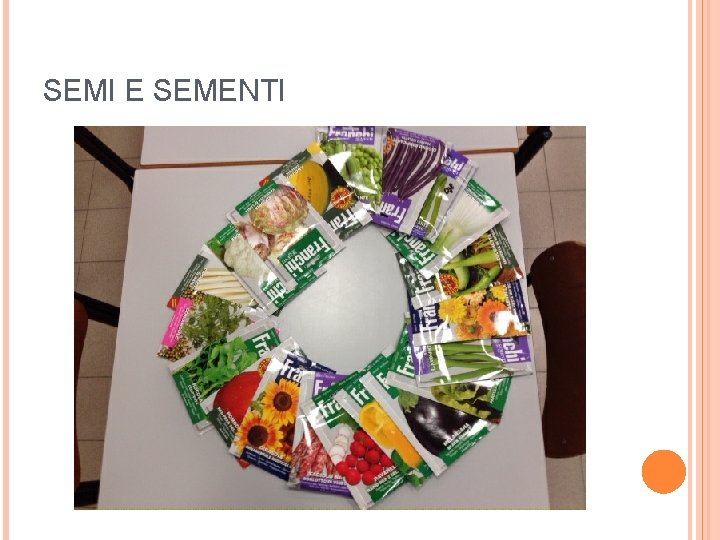 SEMI E SEMENTI 