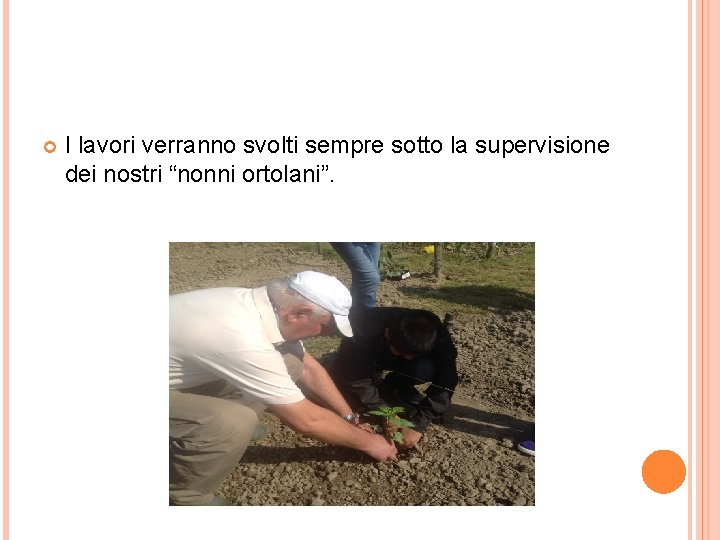  I lavori verranno svolti sempre sotto la supervisione dei nostri “nonni ortolani”. 