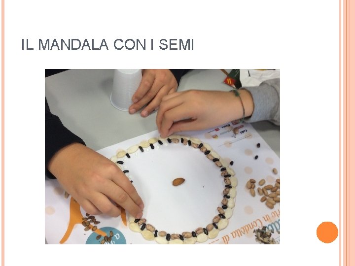 IL MANDALA CON I SEMI 