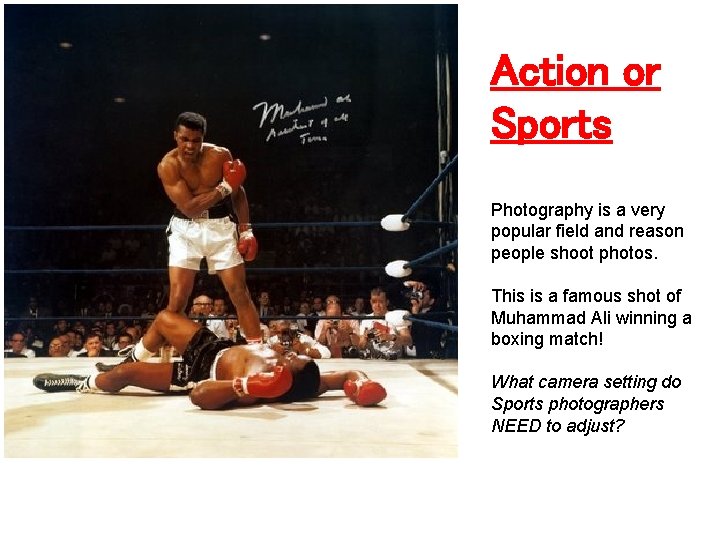 Action or Sports Photography is a very popular field and reason people shoot photos. Action or Sports Photography is a very popular field and reason people shoot photos.