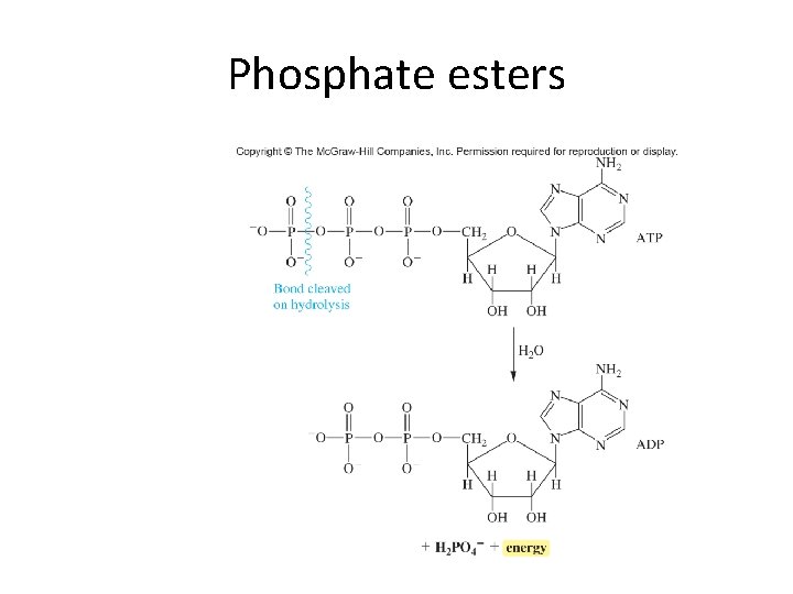 Phosphate esters 