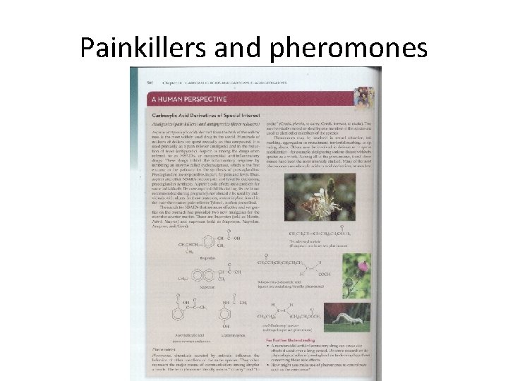 Painkillers and pheromones 