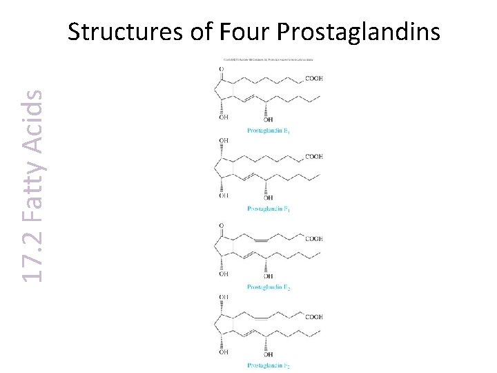 17. 2 Fatty Acids Structures of Four Prostaglandins 