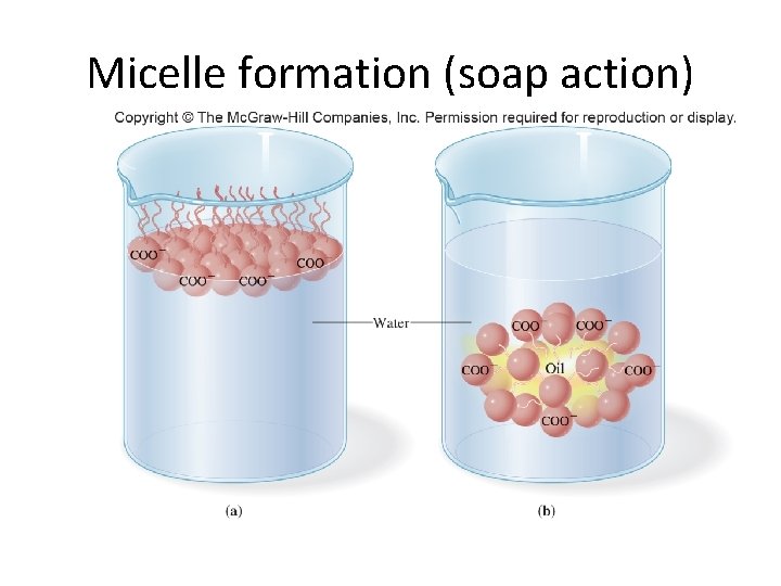 Micelle formation (soap action) 