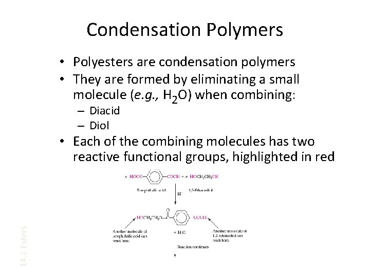 Condensation Polymers • Polyesters are condensation polymers • They are formed by eliminating a