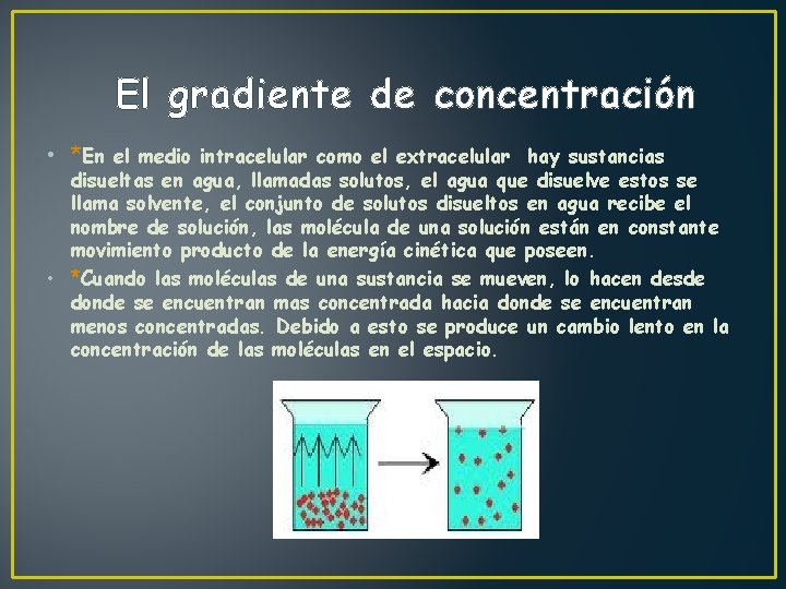 El gradiente de concentración • *En el medio intracelular como el extracelular hay sustancias