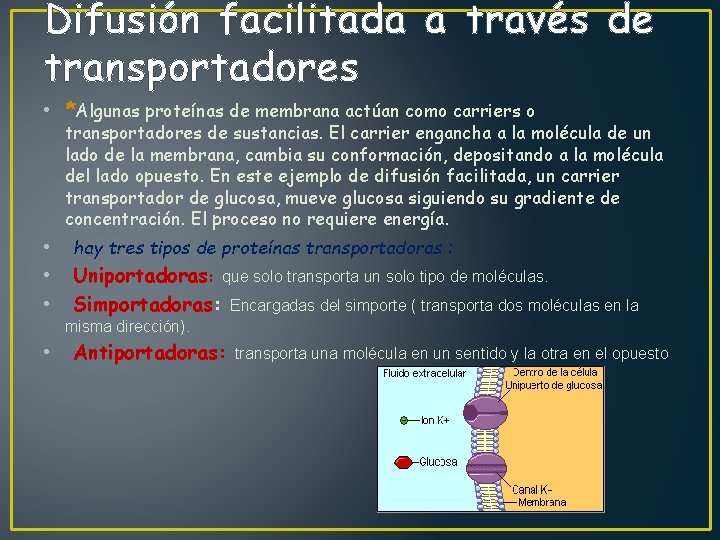 Difusión facilitada a través de transportadores • *Algunas proteínas de membrana actúan como carriers