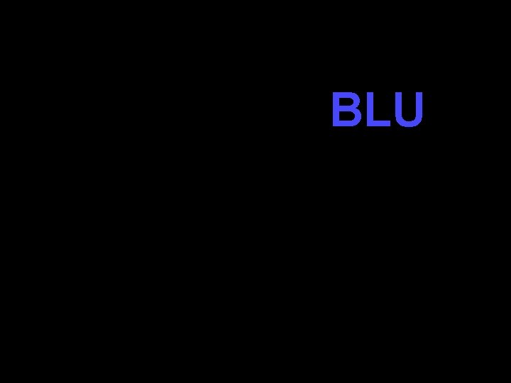 BLU 
