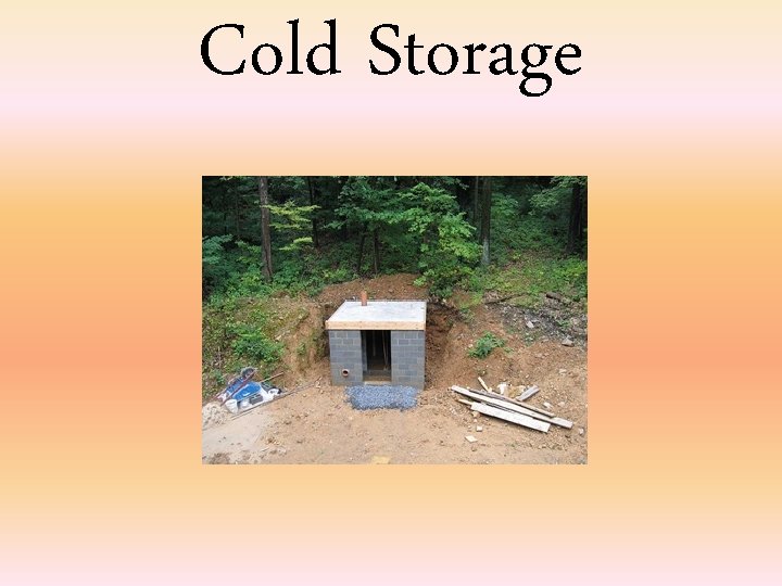 Cold Storage 