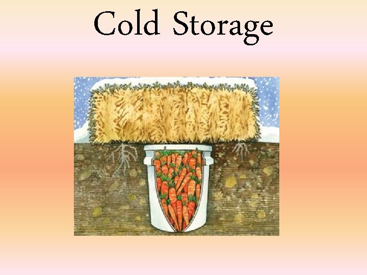 Cold Storage 