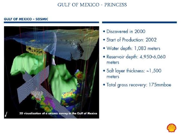 GULF OF MEXICO - PRINCESS 