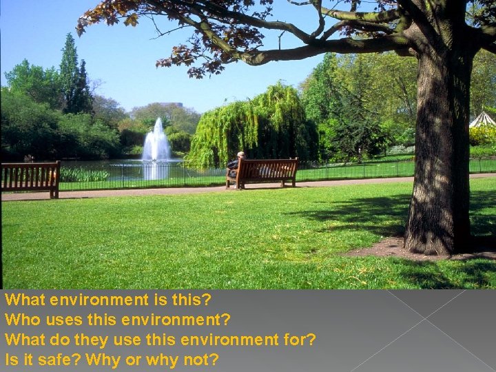 What environment is this? Who uses this environment? What do they use this environment