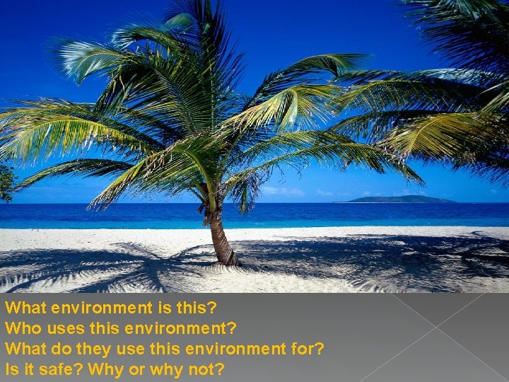 What environment is this? Who uses this environment? What do they use this environment