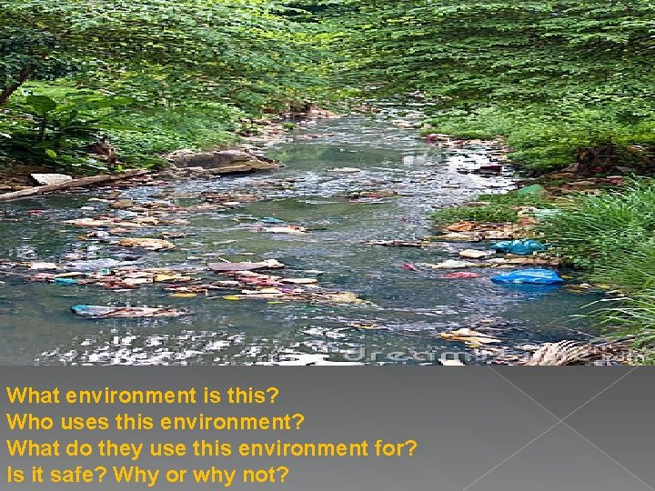 What environment is this? Who uses this environment? What do they use this environment