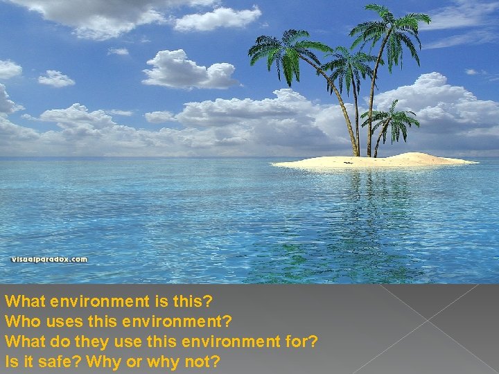 What environment is this? Who uses this environment? What do they use this environment