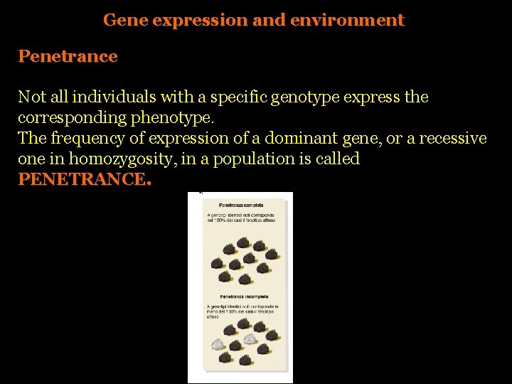 Gene expression and environment Penetrance Not all individuals with a specific genotype express the