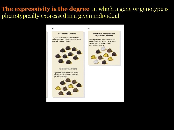 The expressivity is the degree at which a gene or genotype is phenotypically expressed