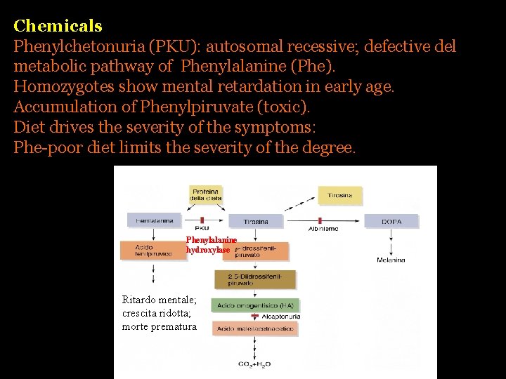 Chemicals Phenylchetonuria (PKU): autosomal recessive; defective del metabolic pathway of Phenylalanine (Phe). Homozygotes show