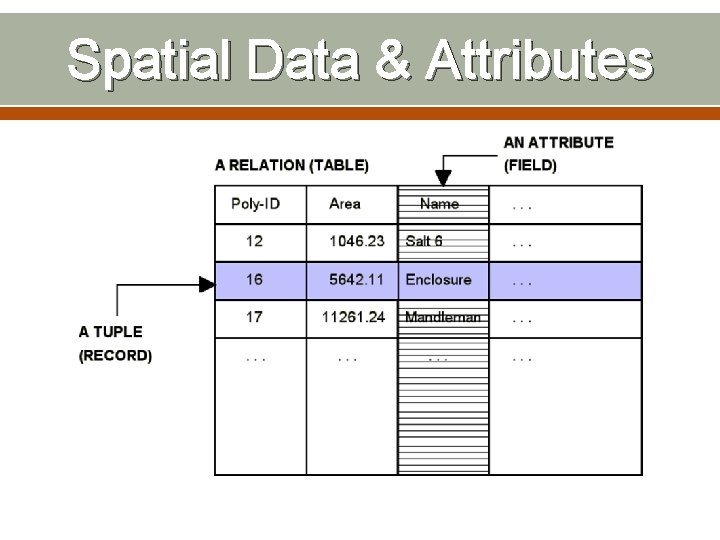 Spatial Data & Attributes 