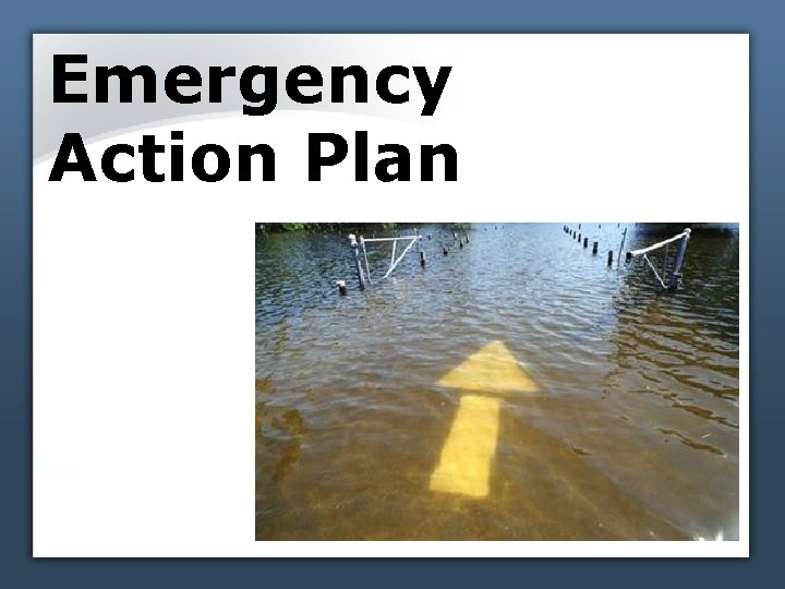 Emergency Action Plan 