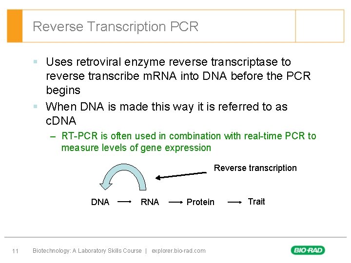 The Polymerase Chain Reaction Chapter 6 Background Invention