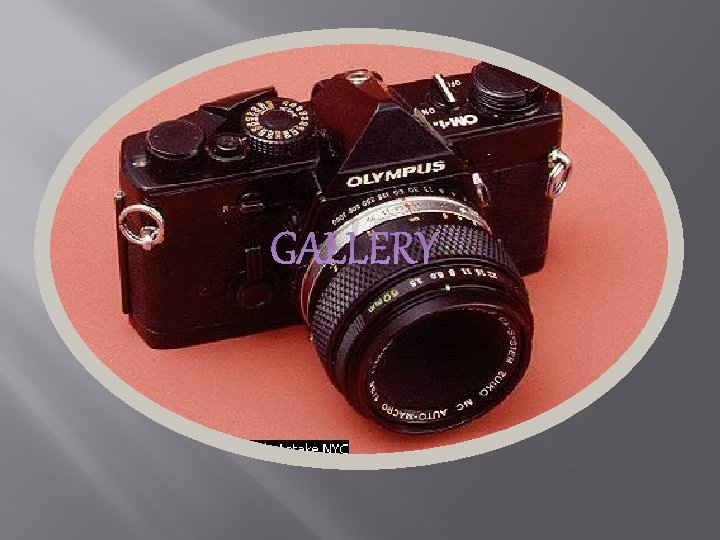 GALLERY GALLERY