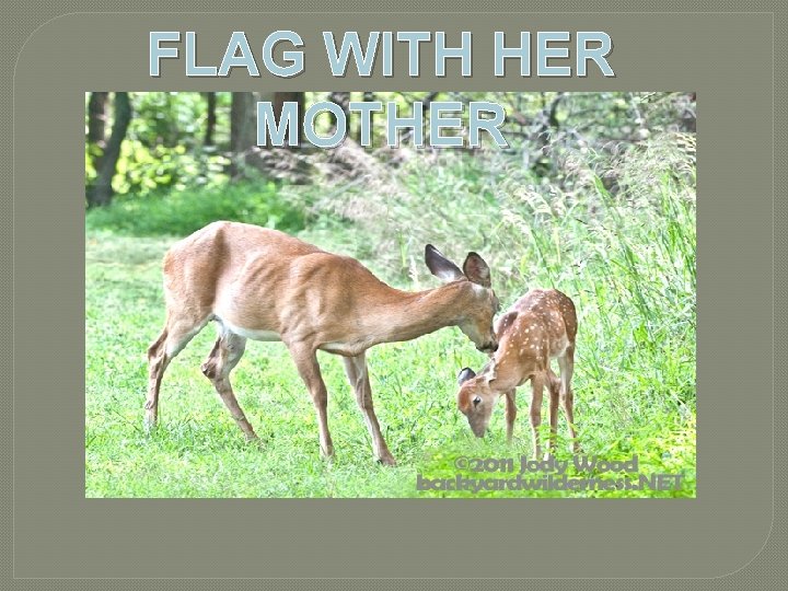 FLAG WITH HER MOTHER FLAG WITH HER MOTHER