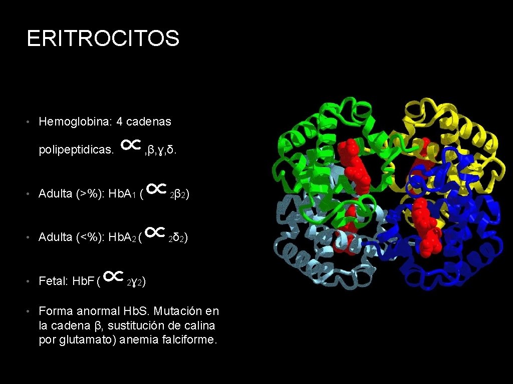 ERITROCITOS • Hemoglobina: 4 cadenas polipeptidicas. ∝, β, ɣ, δ. • Adulta (>%): Hb.