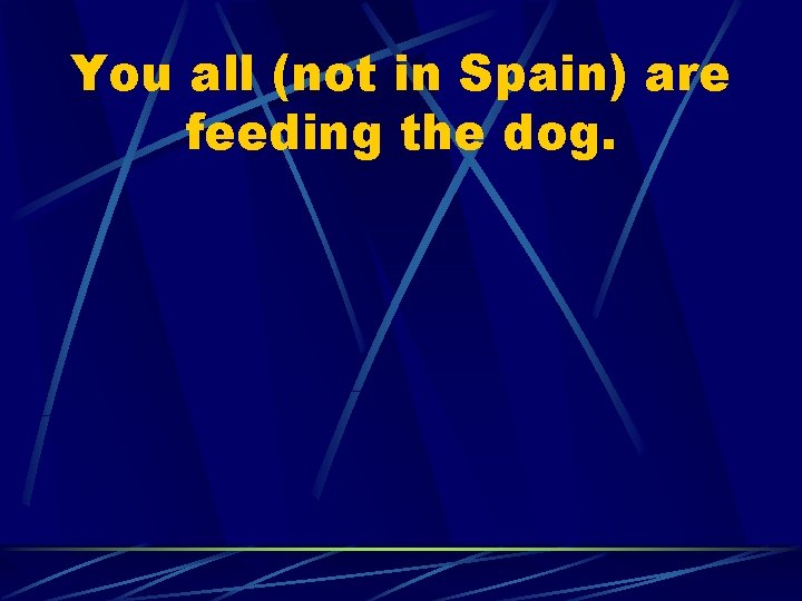 You all (not in Spain) are feeding the dog. 