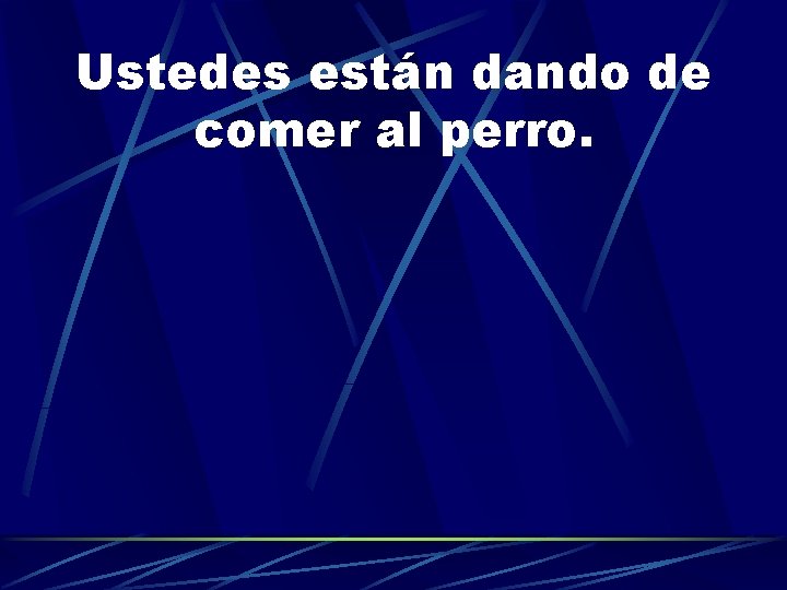 Ustedes están dando de comer al perro. 