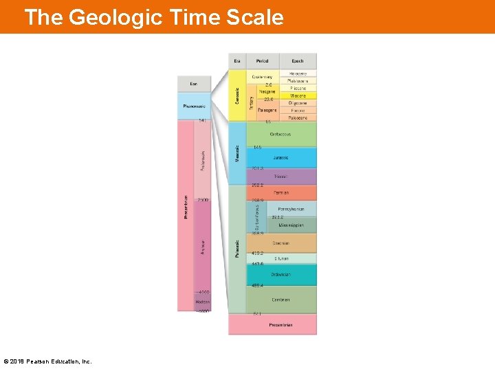 The Geologic Time Scale © 2018 Pearson Education, Inc. 