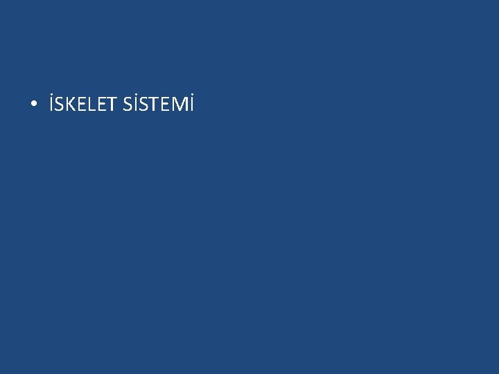  • İSKELET SİSTEMİ 