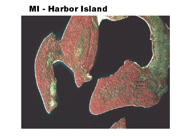 MI - Harbor Island 